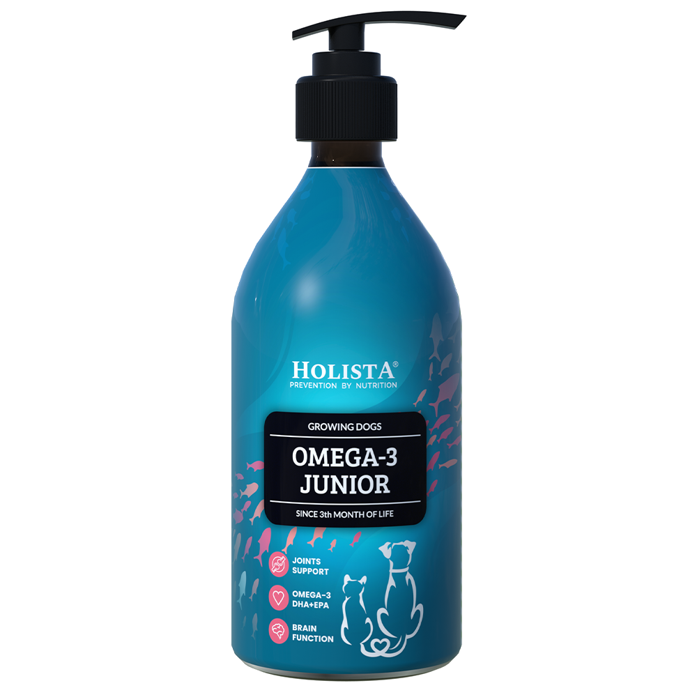 Holista Omega3 Junior 400ml