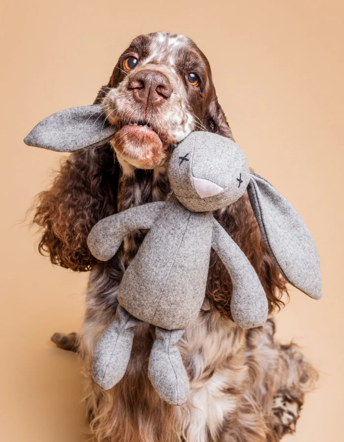 LPB-TOY-RUPERT-12_8.jpg The Rupert rabbit plush dog toy product picture