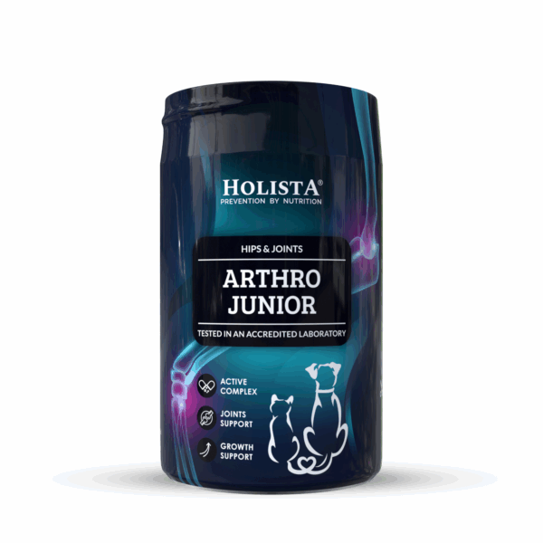 Holista Arthor Junior 200g