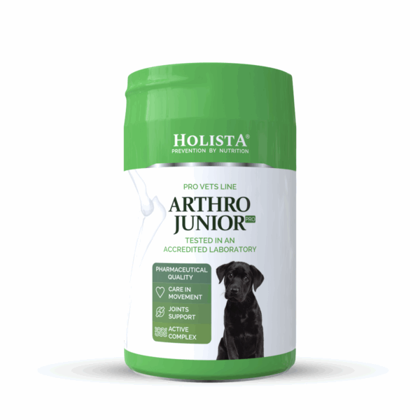 Holista Arthro Junior Pro 200g
