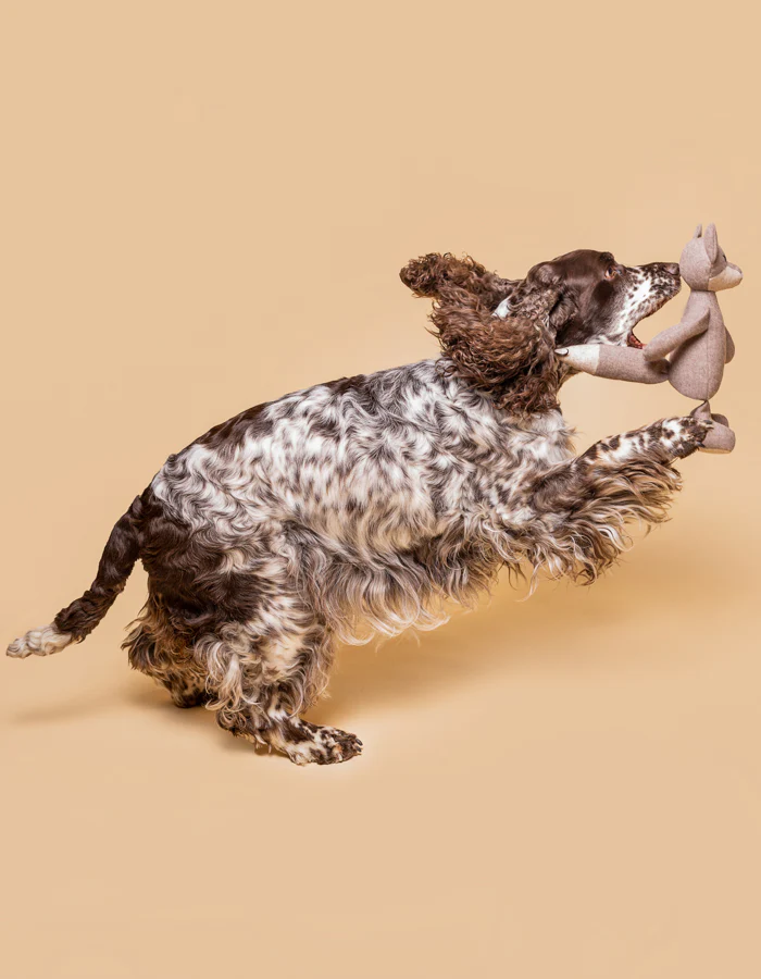 LPB-TOY-LUNA-27_5_fb51ee6c-aa05-41d3-8936-62b63c6a482b.jpg Luna Plush dog toy product picture