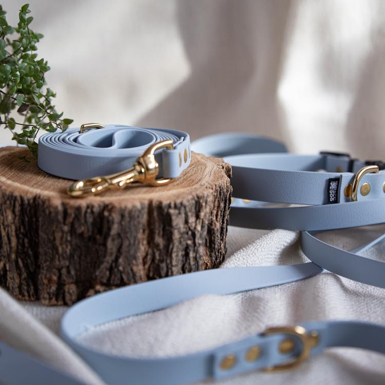 blue-boy-zestaw ACC biothane city leash blue boy with brass fittings set