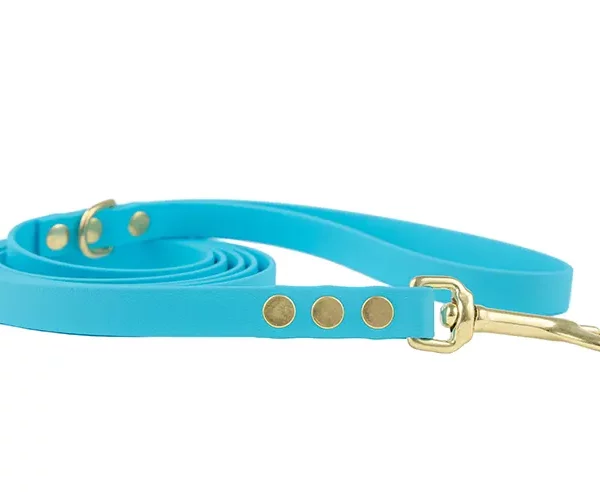 ACC biothane city leash baby blue with brass fittings