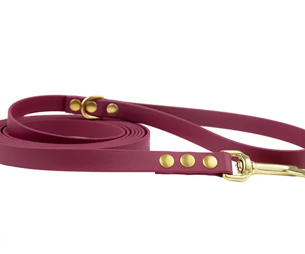 ACC biothane city leash elegant with brass fittings