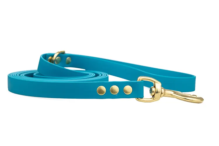 smycz-miejska-lagune-mosiezny-sprezynowy-biothane-accdog ACC biothane city leash lagune with brass fittings