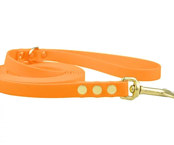 ACC biothane city leash neon orange with brass fittings