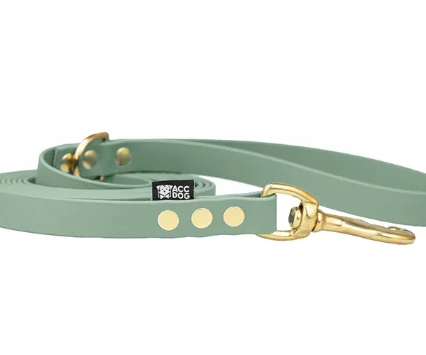 ACC biothane city leash sage green with brass fittings