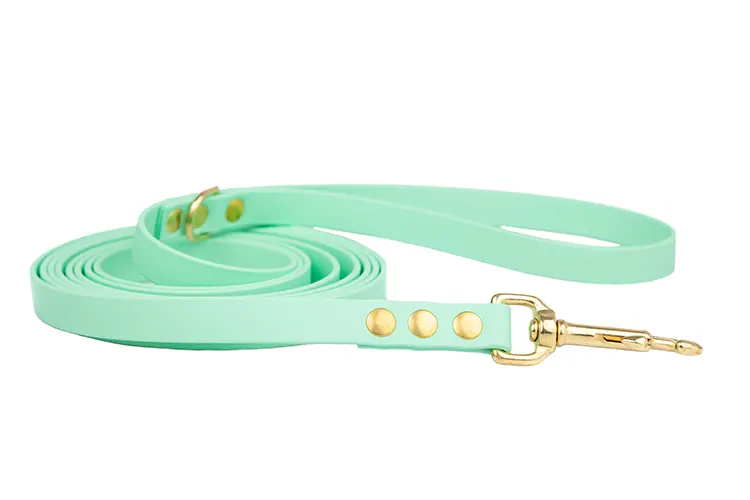 smycz-miejska-soft-mint-mosiezne-biothane-accdog ACC biothane city leash soft mint with brass fittings