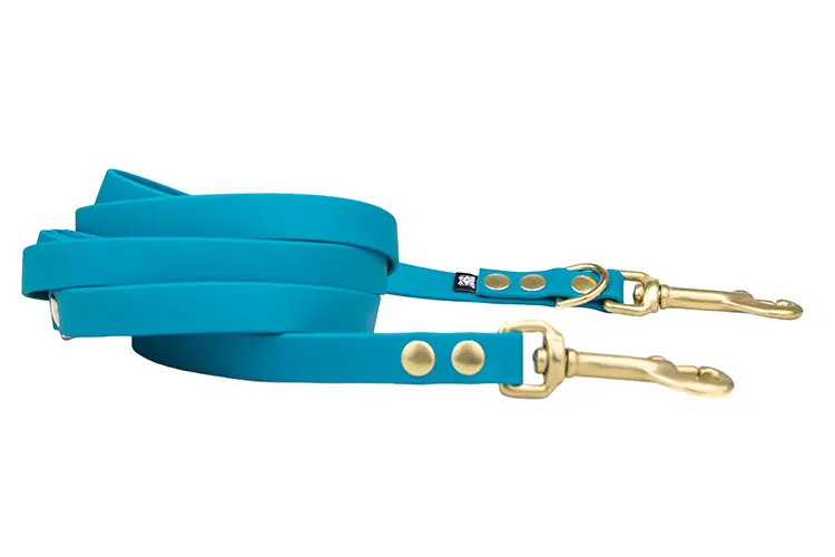 smycz-przepinana-lagune-mosiezny-sprezynowy-biothane-accdog ACC biothane Multi-Clip leash lagune with brass fittings