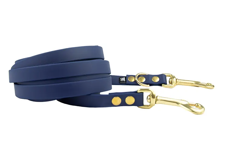 smycz-przepinana-ocean-mosiezne-sprezynowy-biothane-accdog ACC biothane Multi-Clip leash ocean with brass fittings