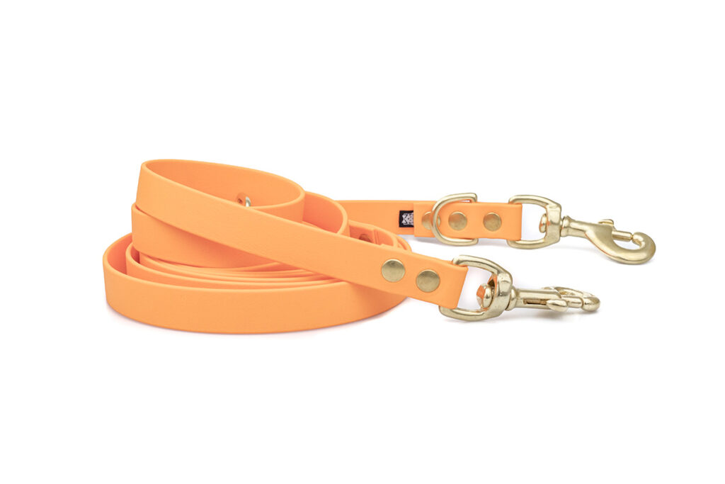 ACC DOG ACC biothane Multi-Clip orange with brass fittings