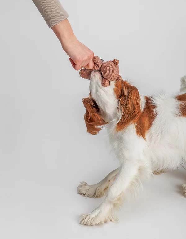 BRUNO crochet squeaky dog toy - product picture BRUNO crochet squeaky dog toy - product picture