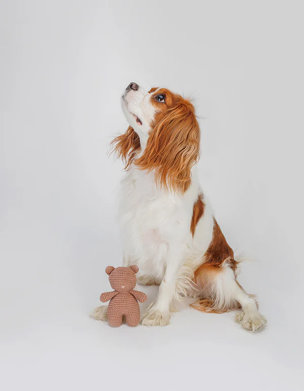 BRUNO crochet squeaky dog toy - product picture BRUNO crochet squeaky dog toy - product picture