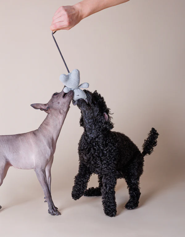 CHARLIE crochet dog toy - product picture CHARLIE crochet dog toy - product picture