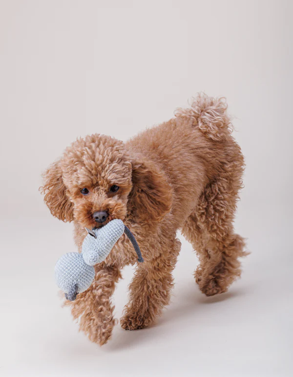 CHARLIE crochet dog toy - product picture CHARLIE crochet dog toy - product picture