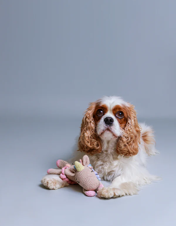 FLAVIA the unicorn dog toy - product picture FLAVIA the unicorn dog toy - product picture