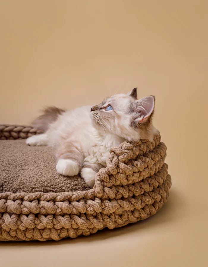 SesjajesiennaLillabelWEB_37of39 Cat Cushion CLOUD eco bouclé