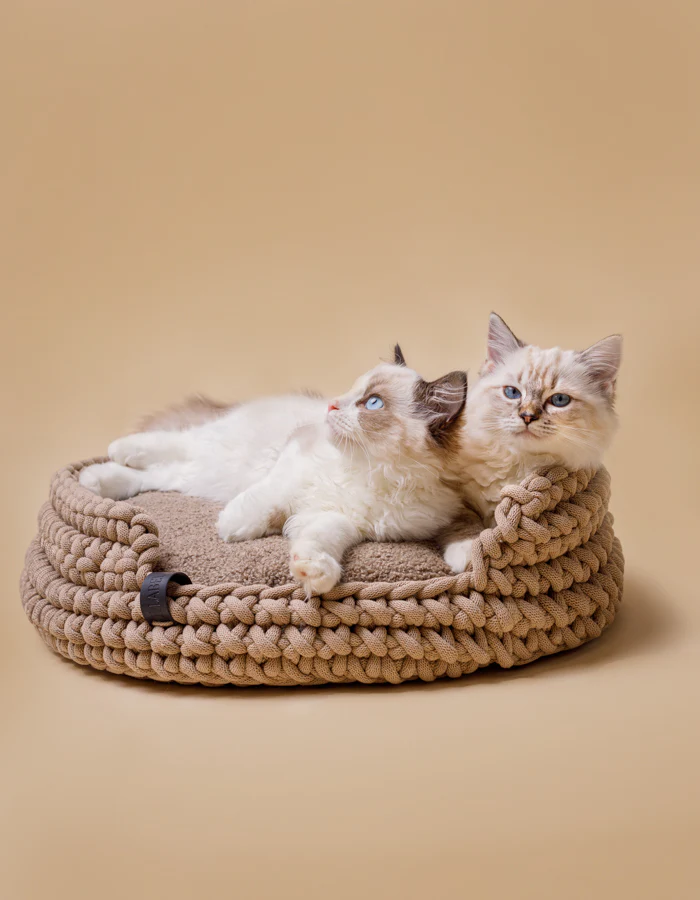 SesjajesiennaLillabelWEB_38of39 Cat Cushion CLOUD eco bouclé