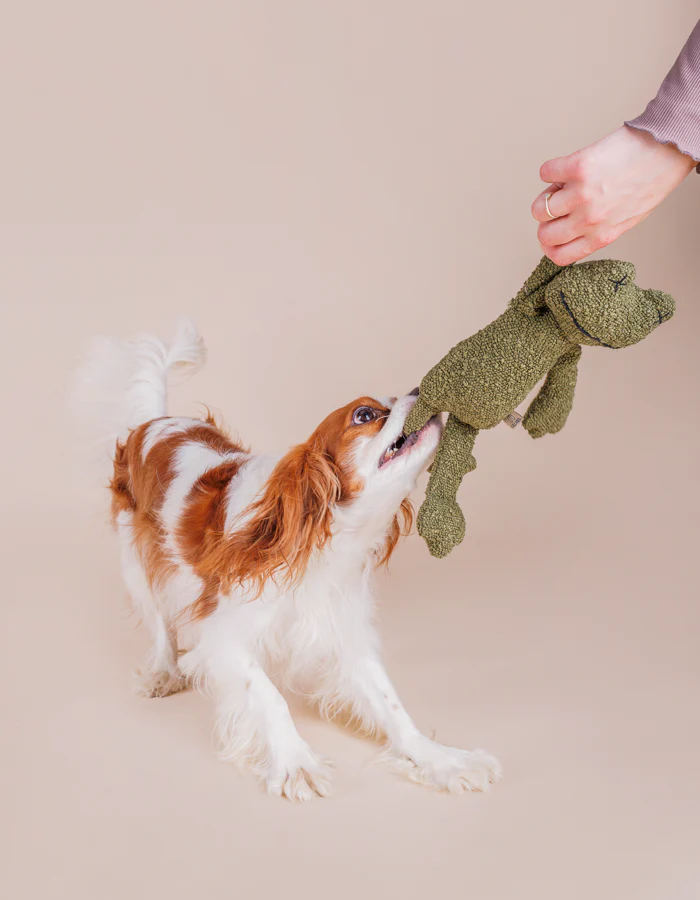 pluszowa-zabawka-dla-psa-zaba-premium-plush-dog-toy-hunde-spielzeug.png GRETA Frog Plush Dog Toy - product picture