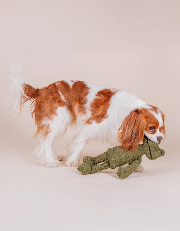 pluszowa-zabawka-dla-psa-zaba-premium-plush-dog-toys-hunde-spielzeug.png GRETA Frog Plush Dog Toy – product picture