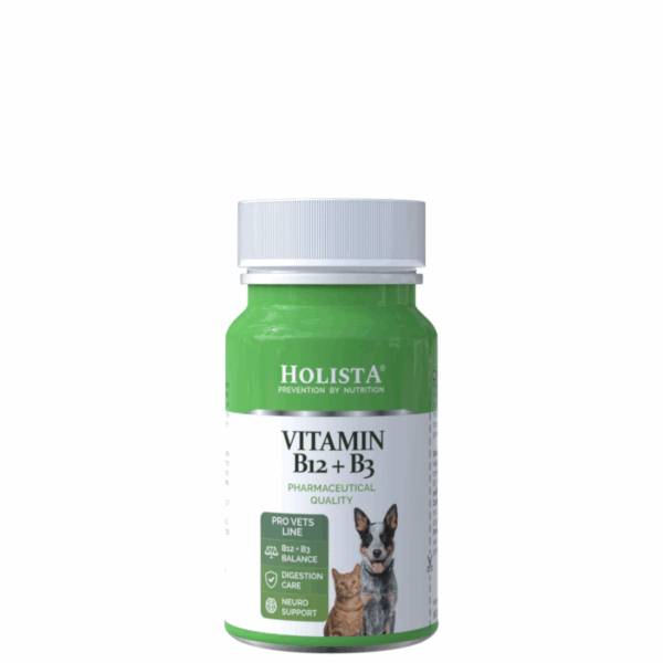 Holista Vitamin B12 + B3