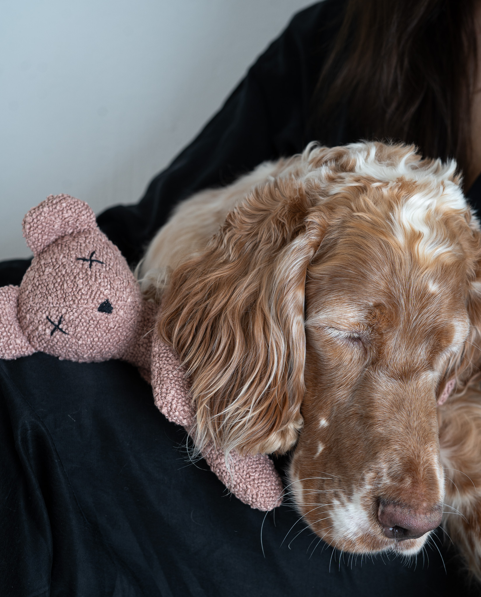 DSC00147 Lillabel Berty blush pink plush crinkly dog toy