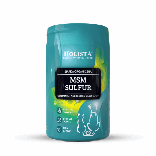 Holista MSM 250g