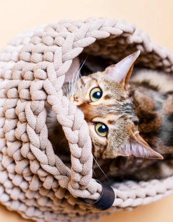 LPB-ACCS-PLAY-42_10 LILLABEL Toy Basket Made of Recycled Cotton Cord PLAYTIME cream and beige