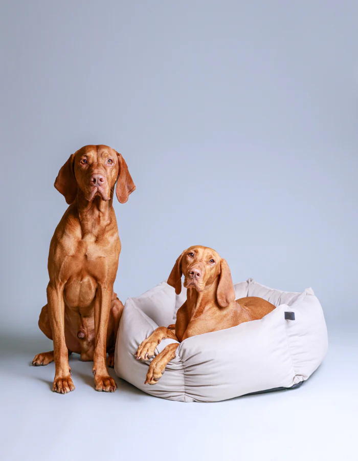 LPB-BED-VELUDO-44_10 LILLABEL Dog Bed VELUDO greige