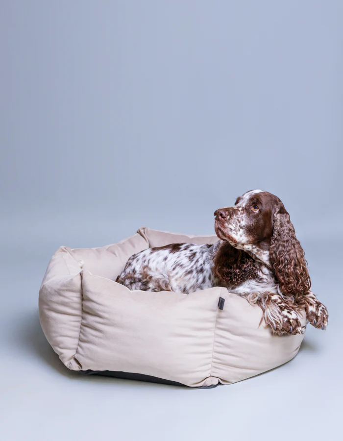 LPB-BED-VELUDO-44_7 LILLABEL Dog Bed VELUDO greige