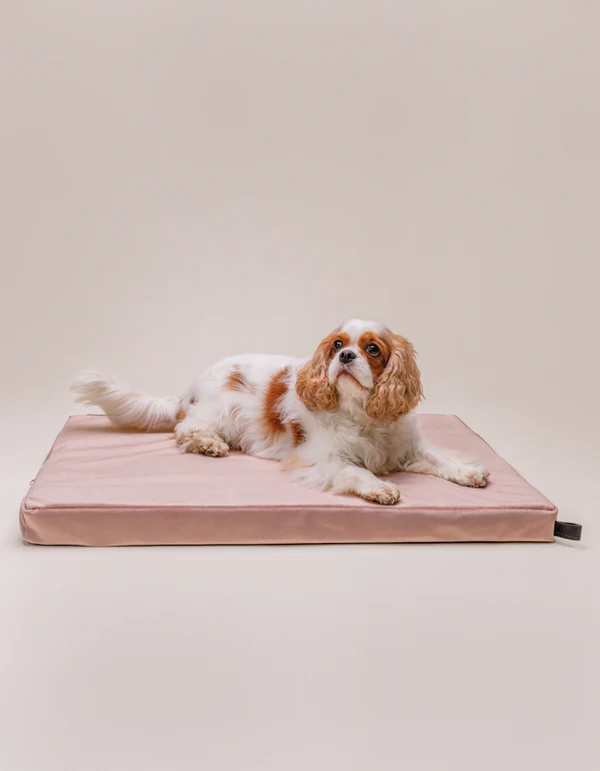 LillabelNET2024_18of38 LILLABEL Orthopedic Dog Mattress CHILL – Dusty Rose