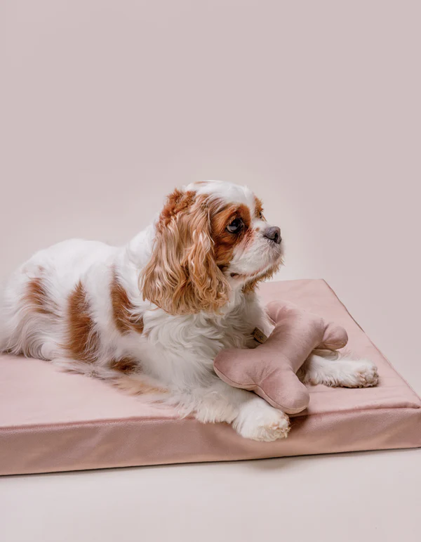 LillabelNET2024_19of38 LILLABEL Orthopedic Dog Mattress CHILL – Dusty Rose