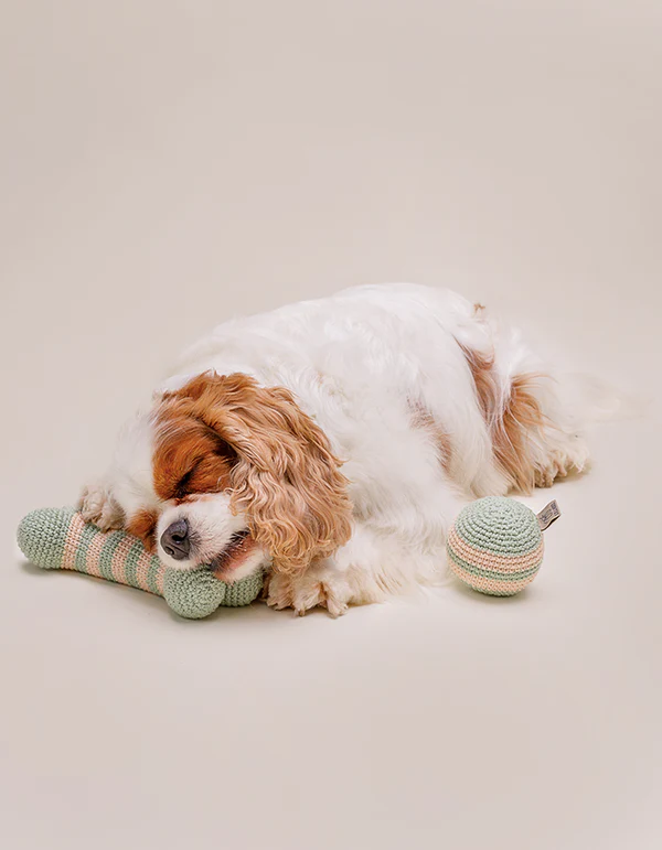 LillabelNET2024_22of38 Lillabel Organic Cotton Dog Toy Bone LILLY