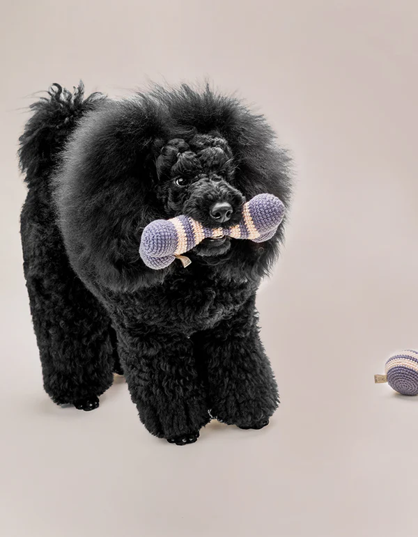 LillabelNET2024_26of38 Lillabel Organic Cotton Dog Toy Bone LILLY