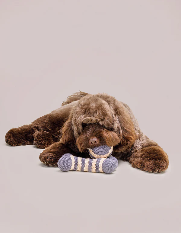 LillabelNET2024_27of38 Lillabel Organic Cotton Dog Toy Bone LILLY