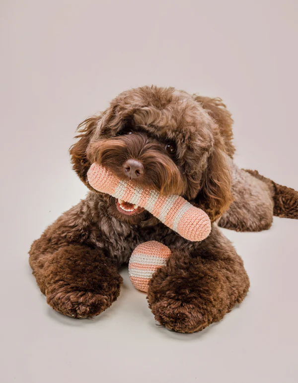 LillabelNET2024_28of38 Lillabel Organic Cotton Dog Toy Bone LILLY