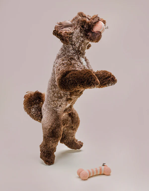 LillabelNET2024_30of38 Lillabel Organic Cotton Dog Toy Bone LILLY