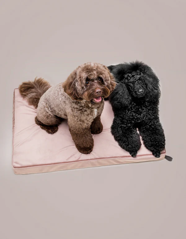 LillabelNET2024_32of38 LILLABEL Orthopedic Dog Mattress CHILL – Dusty Rose
