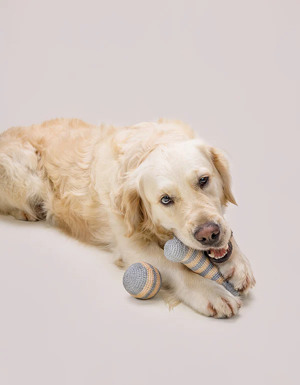 LillabelNET2024_34of38 Lillabel Organic Cotton Dog Toy Bone LILLY