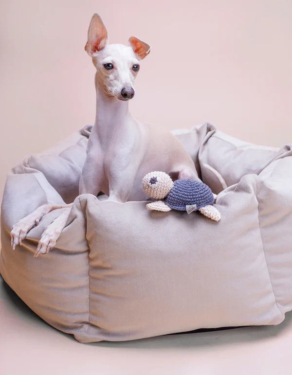 Lillabelmarzecweb_12of19 LILLABEL Dog Bed VELUDO greige
