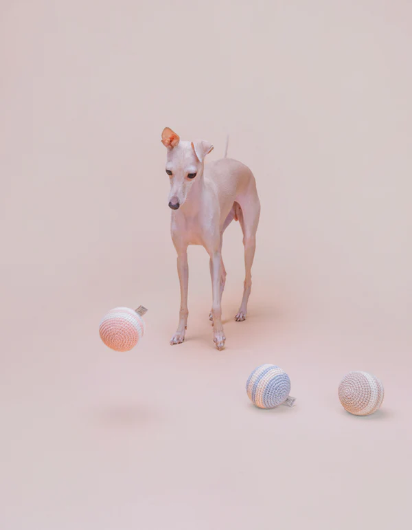 Lillabelmarzecweb_14of19_2520d3e8-fa0e-431d-84b6-daf1e7f695f8 Lillabel Organic Cotton Dog Ball RAINBOW