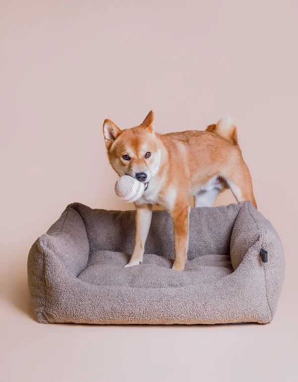 Lillabelmarzecweb_1of19 Lillabel Organic Cotton Dog Ball RAINBOW