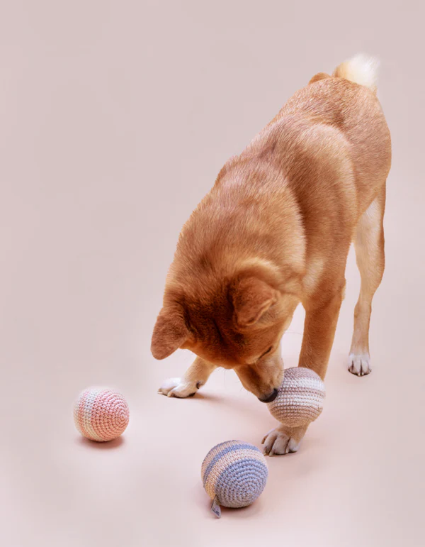 Lillabelmarzecweb_6of19_2884f41f-8985-447d-8364-adc684141a7f Lillabel Organic Cotton Dog Ball RAINBOW