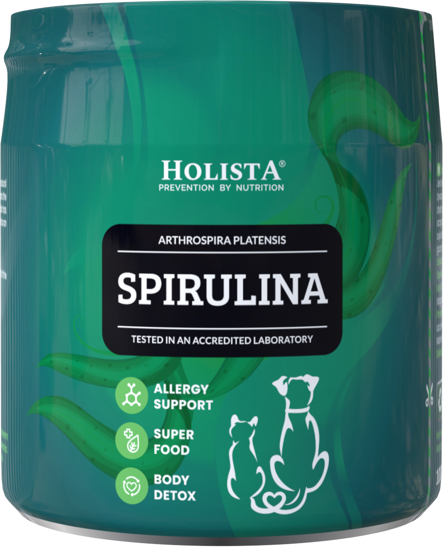 Spirulina 100g Holista Spirulina 100g
