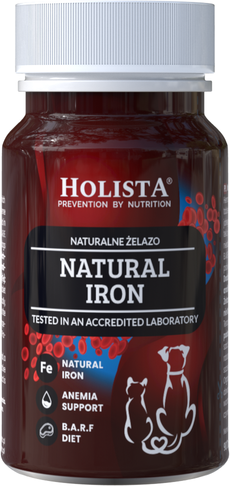 Vitamin Natural Iron 90tabs Holista Natural Iron 90tabs