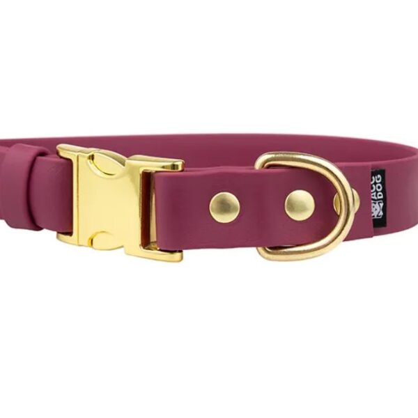 ACC Biothane® Buckle Collar elegant S/19mm brass finishing
