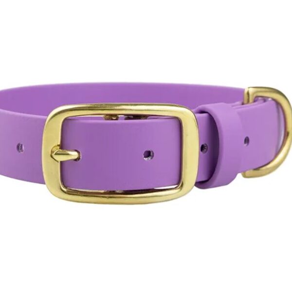 ACC Biothane® Pin Buckle Collar lilac L/38mm brass finishing