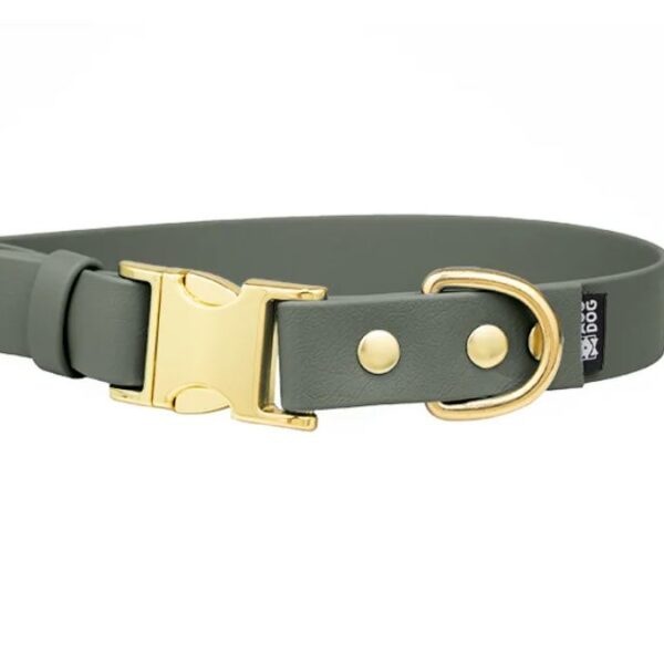 ACC Biothane® Buckle Collar foliage green XS/16mm brass finishing