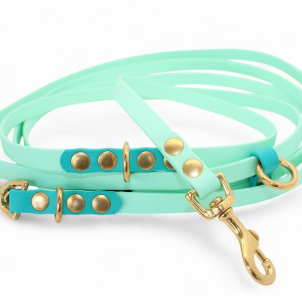 ACC Biothane® Hands-Free Leash 300cm/13mm mint with forest and brass finishings