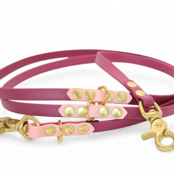 ACC Biothane® Multi-Clip Leash 165cm/13mm elegant with pink and brass finishings